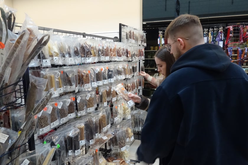 Na zdjęciach Targi PupiLove w Centrum Handlowym Borek, 12.02.2023