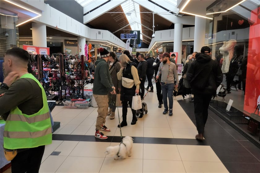 Na zdjęciach Targi PupiLove w Centrum Handlowym Borek, 12.02.2023