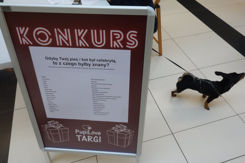 Na zdjęciach Targi PupiLove w Centrum Handlowym Borek, 12.02.2023