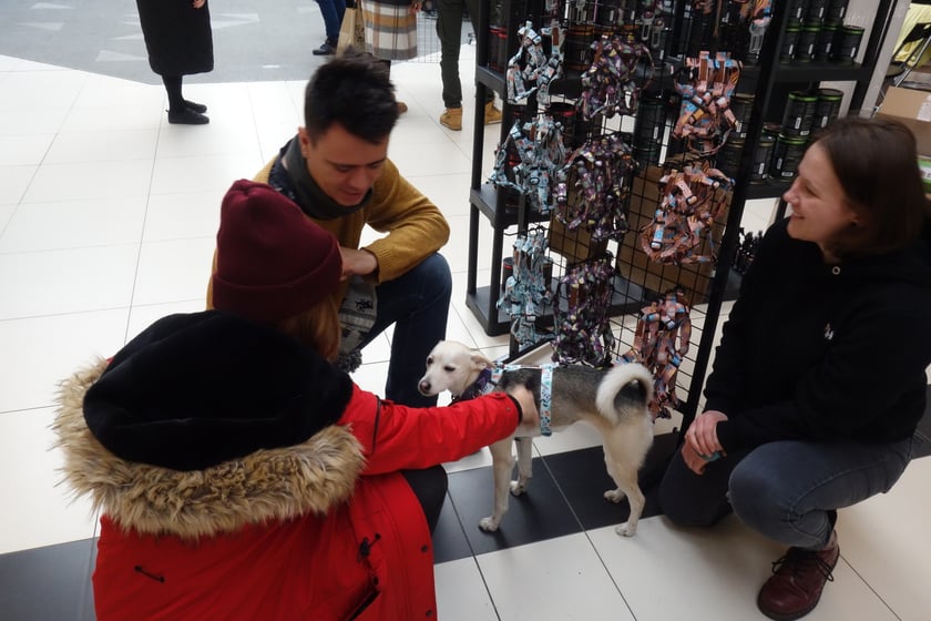 Na zdjęciach Targi PupiLove w Centrum Handlowym Borek, 12.02.2023