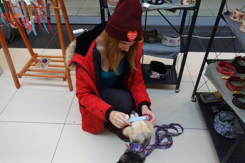 Na zdjęciach Targi PupiLove w Centrum Handlowym Borek, 12.02.2023