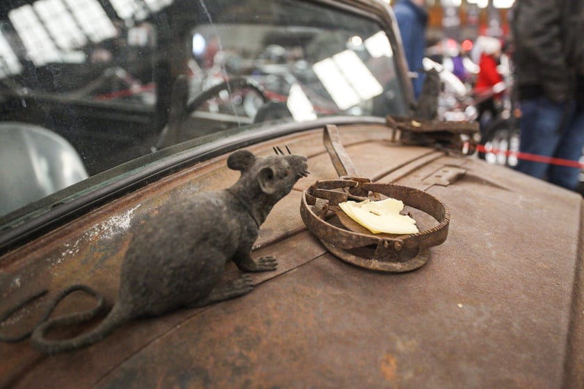 Kustomhead - tłumy wrocławian podziwiają zabytkowe pojazdy w Hali Stulecia