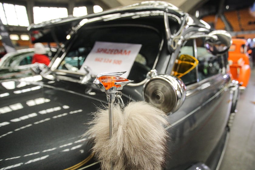 Kustomhead - tłumy wrocławian podziwiają zabytkowe pojazdy w Hali Stulecia