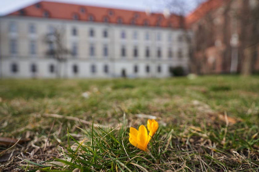 Oznaki wiosny w pobliżu Wyspy Piaskowej