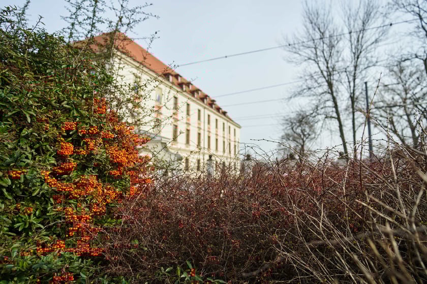 Oznaki wiosny w pobliżu Wyspy Piaskowej