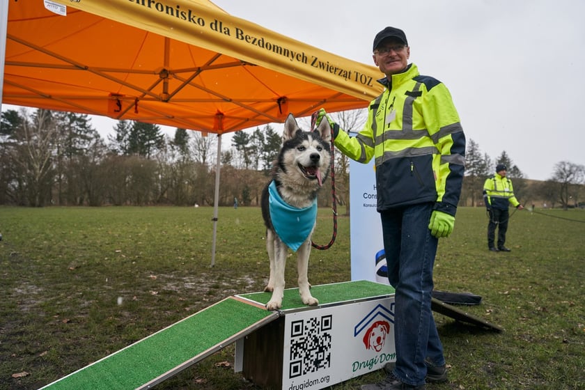 Na zdjęciu psy z TOZ Schroniska dla Bezdomnych Zwierząt na spacerze w parku Grabiszyńskim. Celem jest znalezienie nowych opiekun&oacute;w