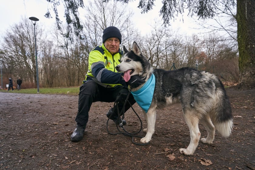 Na zdjęciu psy z TOZ Schroniska dla Bezdomnych Zwierząt na spacerze w parku Grabiszyńskim. Celem jest znalezienie nowych opiekun&oacute;w. Tu Władysław Frasyniuk, honorowy wolontariusz