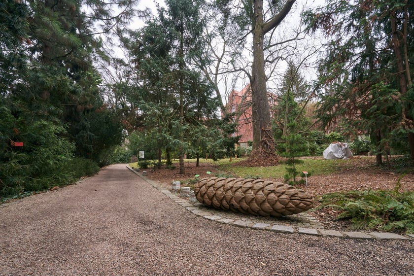 Widoki z Ogrodu Botanicznego, rośliny powoli budzą się na wiosnę