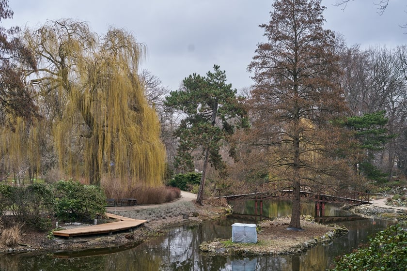 Widoki z Ogrodu Botanicznego, rośliny powoli budzą się na wiosnę