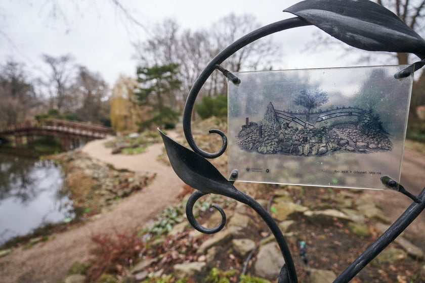 Widoki z Ogrodu Botanicznego, rośliny powoli budzą się na wiosnę