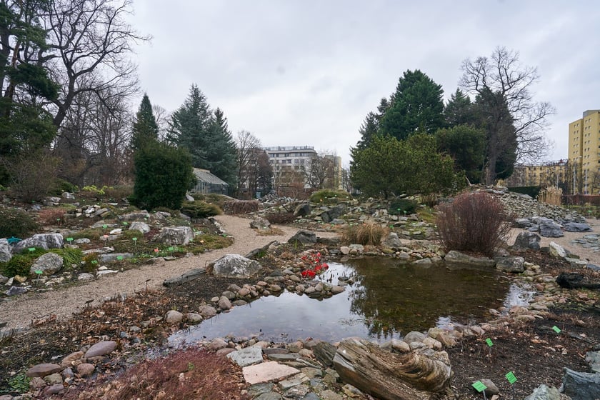 Widoki z Ogrodu Botanicznego, rośliny powoli budzą się na wiosnę