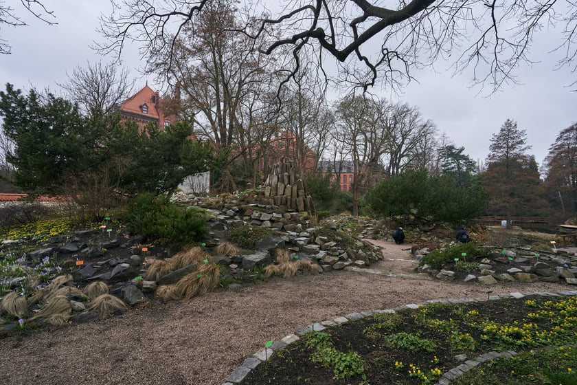 Widoki z Ogrodu Botanicznego, rośliny powoli budzą się na wiosnę