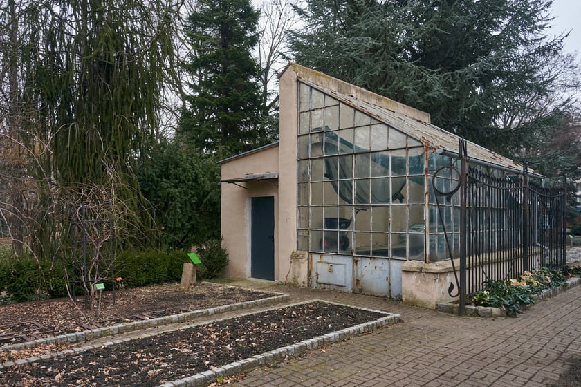 Widoki z Ogrodu Botanicznego, rośliny powoli budzą się na wiosnę