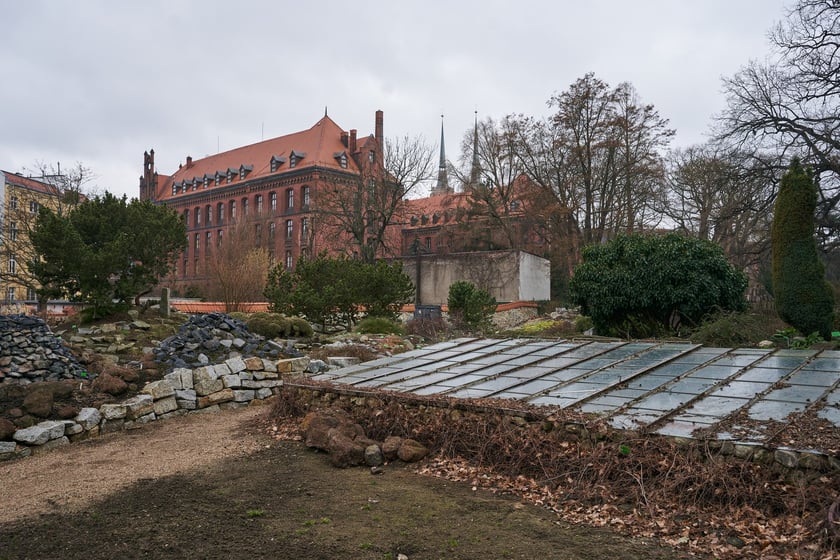 Widoki z Ogrodu Botanicznego, rośliny powoli budzą się na wiosnę
