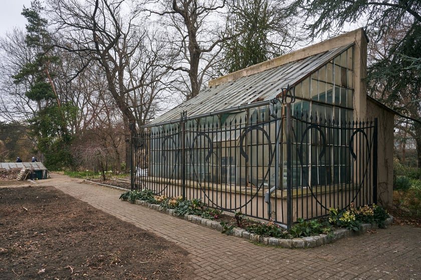 Widoki z Ogrodu Botanicznego, rośliny powoli budzą się na wiosnę