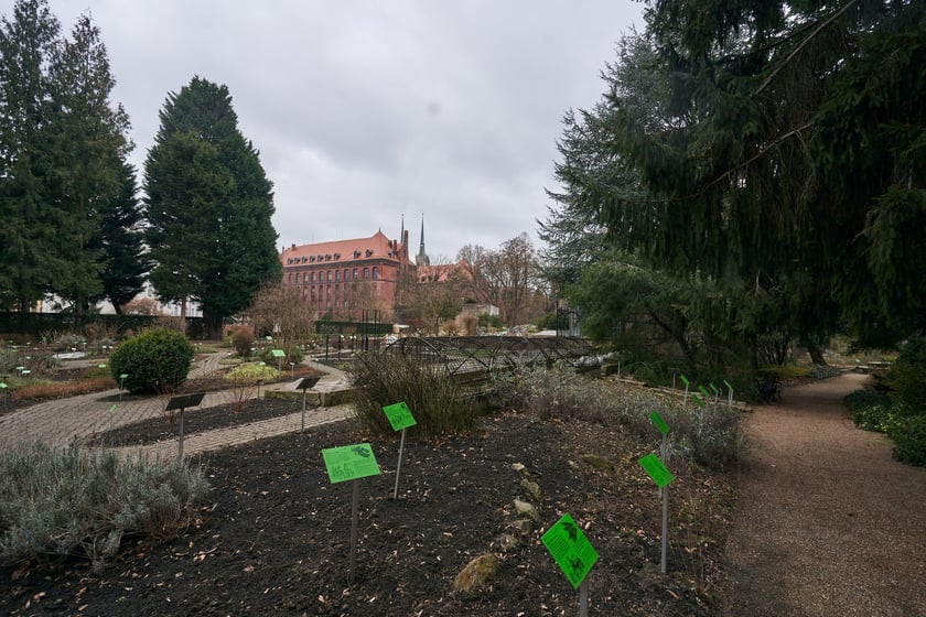 Widoki z Ogrodu Botanicznego, rośliny powoli budzą się na wiosnę