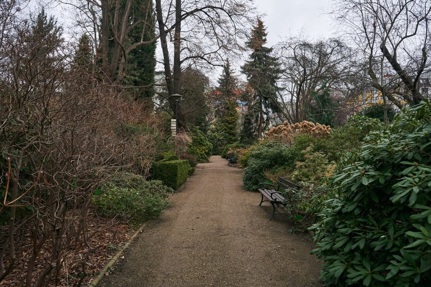 Widoki z Ogrodu Botanicznego, rośliny powoli budzą się na wiosnę