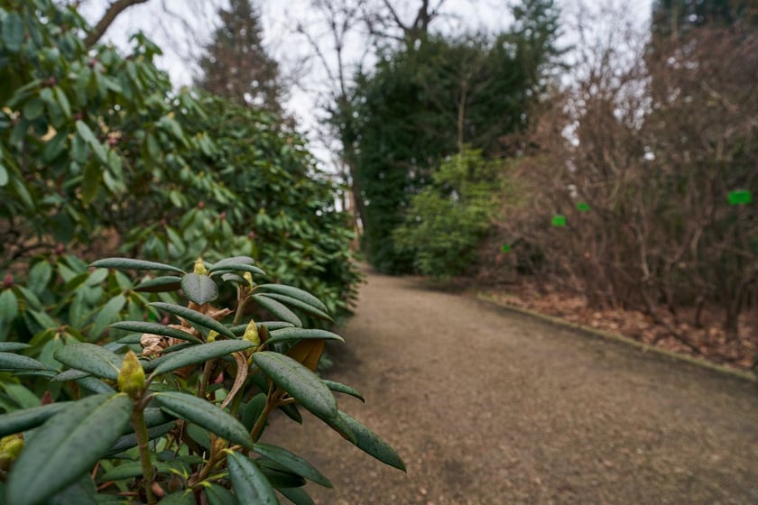 Widoki z Ogrodu Botanicznego, rośliny powoli budzą się na wiosnę