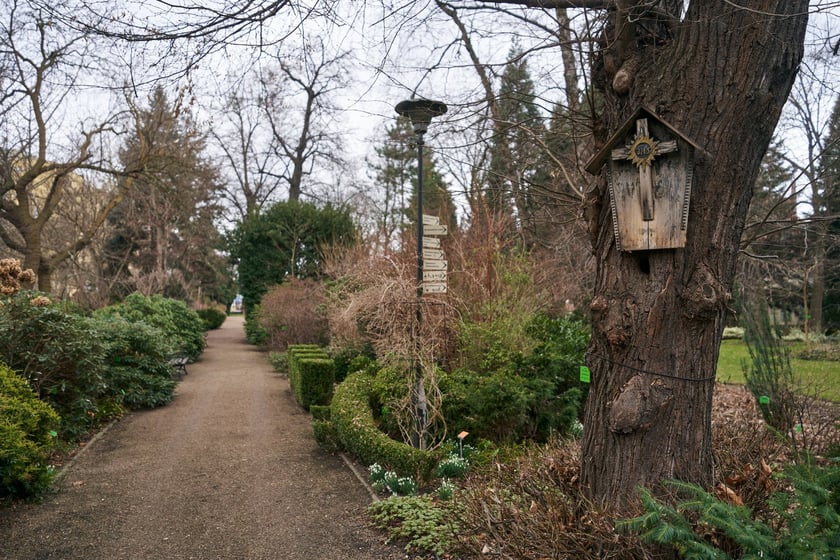 Widoki z Ogrodu Botanicznego, rośliny powoli budzą się na wiosnę