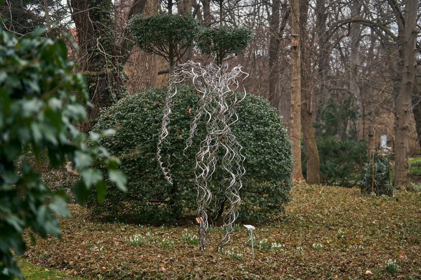 Widoki z Ogrodu Botanicznego, rośliny powoli budzą się na wiosnę