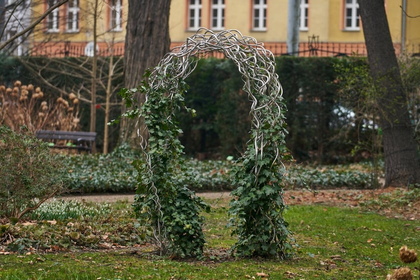 Widoki z Ogrodu Botanicznego, rośliny powoli budzą się na wiosnę