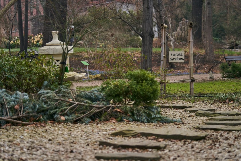 Widoki z Ogrodu Botanicznego, rośliny powoli budzą się na wiosnę