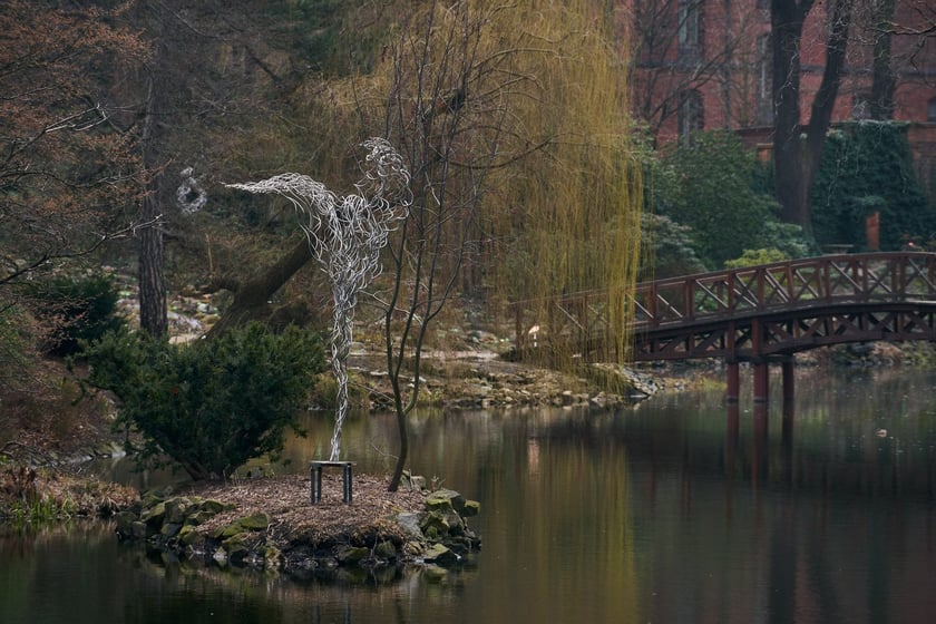 Widoki z Ogrodu Botanicznego, rośliny powoli budzą się na wiosnę