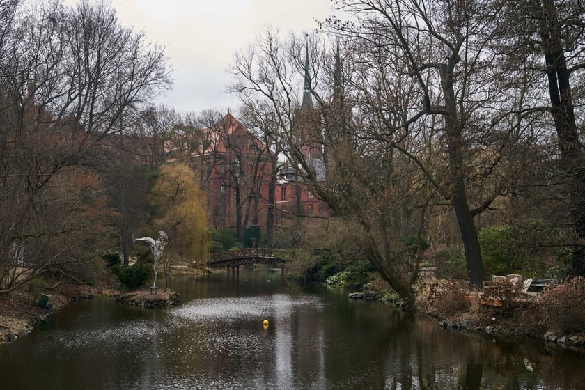 Widoki z Ogrodu Botanicznego, rośliny powoli budzą się na wiosnę