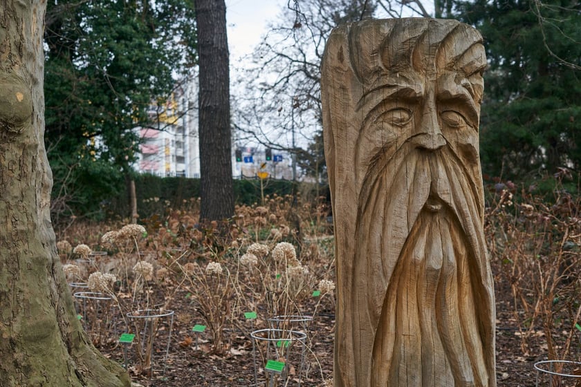 Widoki z Ogrodu Botanicznego, rośliny powoli budzą się na wiosnę