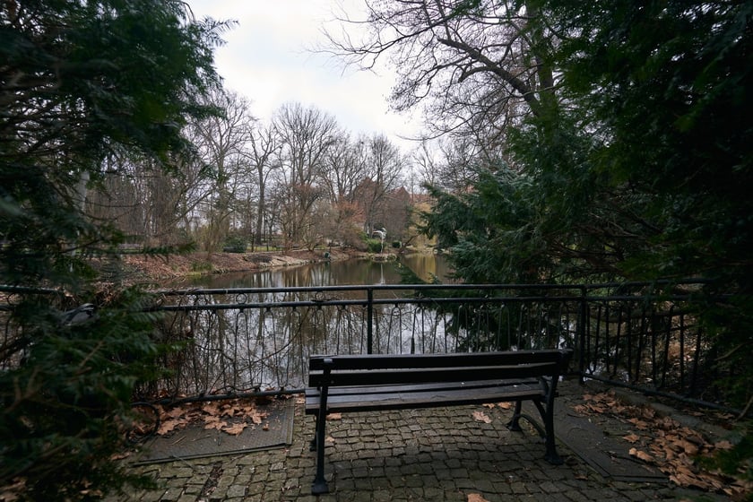 Widoki z Ogrodu Botanicznego, rośliny powoli budzą się na wiosnę