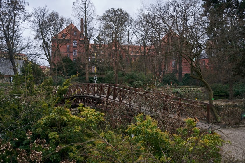 Widoki z Ogrodu Botanicznego, rośliny powoli budzą się na wiosnę