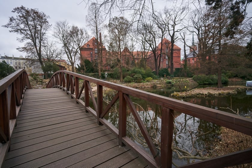 Widoki z Ogrodu Botanicznego, rośliny powoli budzą się na wiosnę