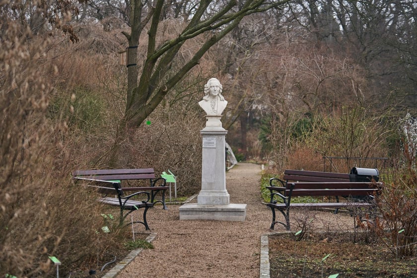 Widoki z Ogrodu Botanicznego, rośliny powoli budzą się na wiosnę