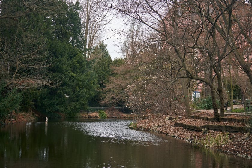 Widoki z Ogrodu Botanicznego, rośliny powoli budzą się na wiosnę