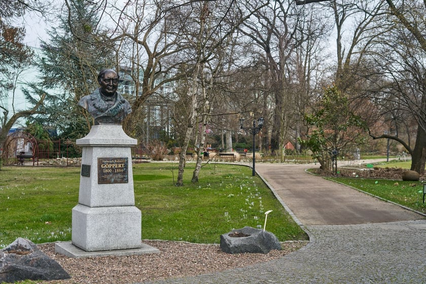 Widoki z Ogrodu Botanicznego, rośliny powoli budzą się na wiosnę
