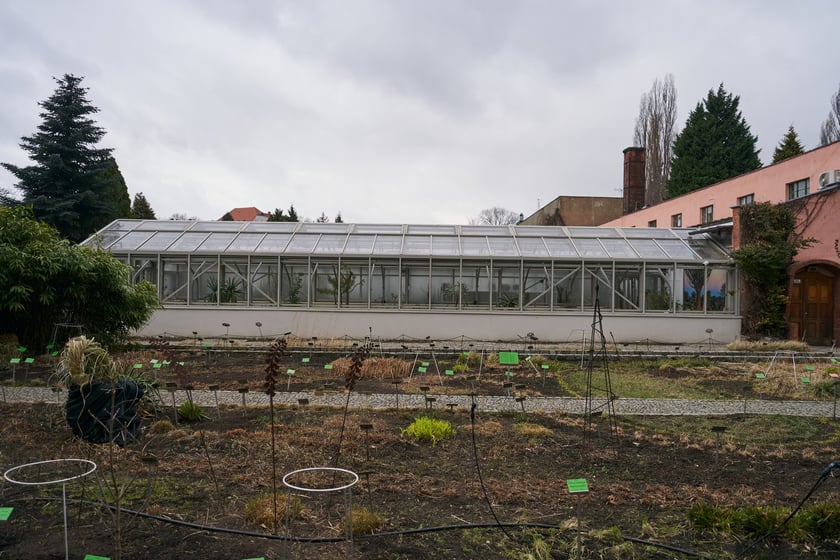 Widoki z Ogrodu Botanicznego, rośliny powoli budzą się na wiosnę