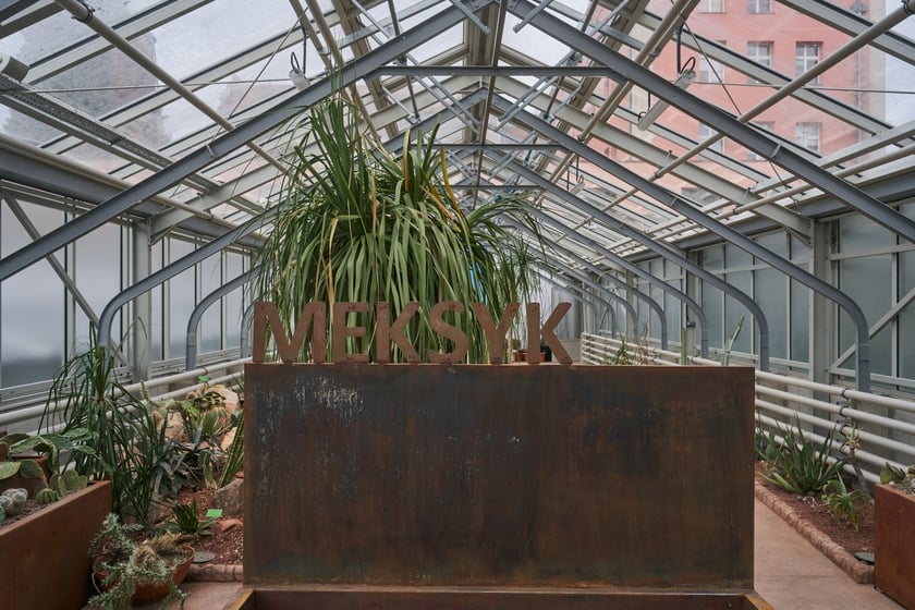 Widoki z Ogrodu Botanicznego, rośliny powoli budzą się na wiosnę