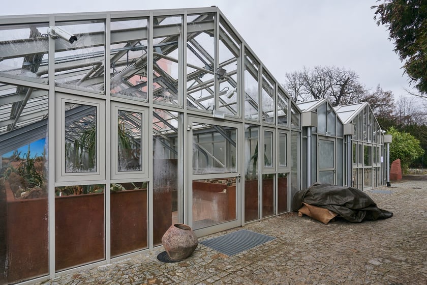 Widoki z Ogrodu Botanicznego, rośliny powoli budzą się na wiosnę