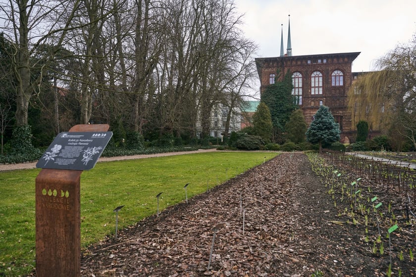 Widoki z Ogrodu Botanicznego, rośliny powoli budzą się na wiosnę