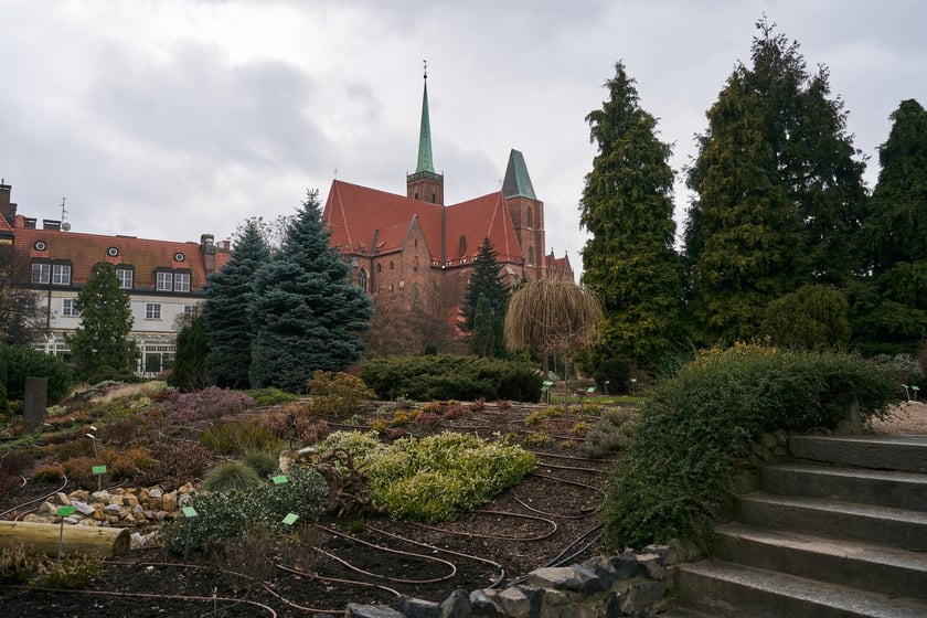 Widoki z Ogrodu Botanicznego, rośliny powoli budzą się na wiosnę