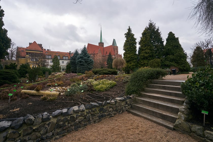 Widoki z Ogrodu Botanicznego, rośliny powoli budzą się na wiosnę