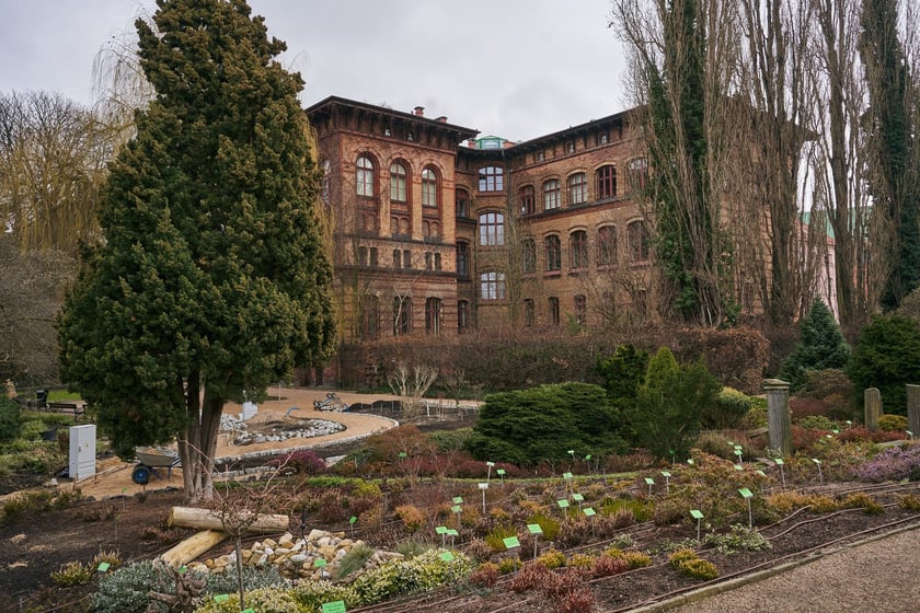 Widoki z Ogrodu Botanicznego, rośliny powoli budzą się na wiosnę