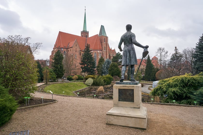Widoki z Ogrodu Botanicznego, rośliny powoli budzą się na wiosnę