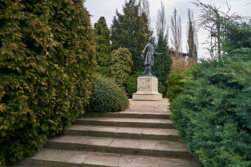 Widoki z Ogrodu Botanicznego, rośliny powoli budzą się na wiosnę