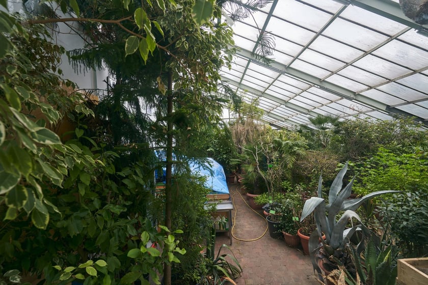 Widoki z Ogrodu Botanicznego, rośliny powoli budzą się na wiosnę