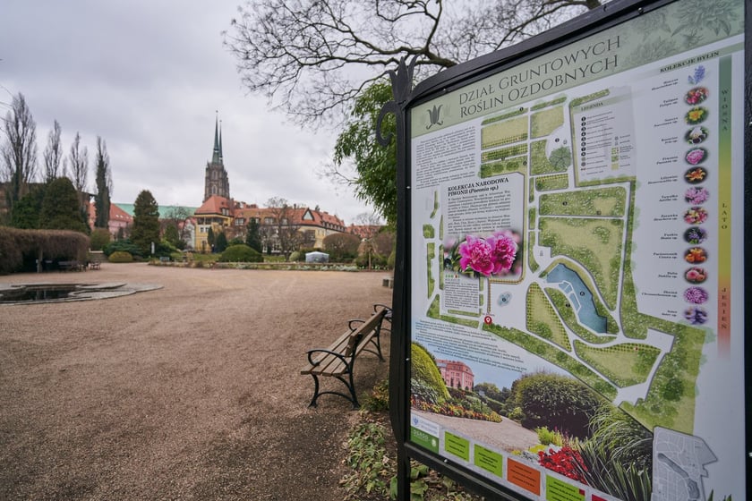 Widoki z Ogrodu Botanicznego, rośliny powoli budzą się na wiosnę