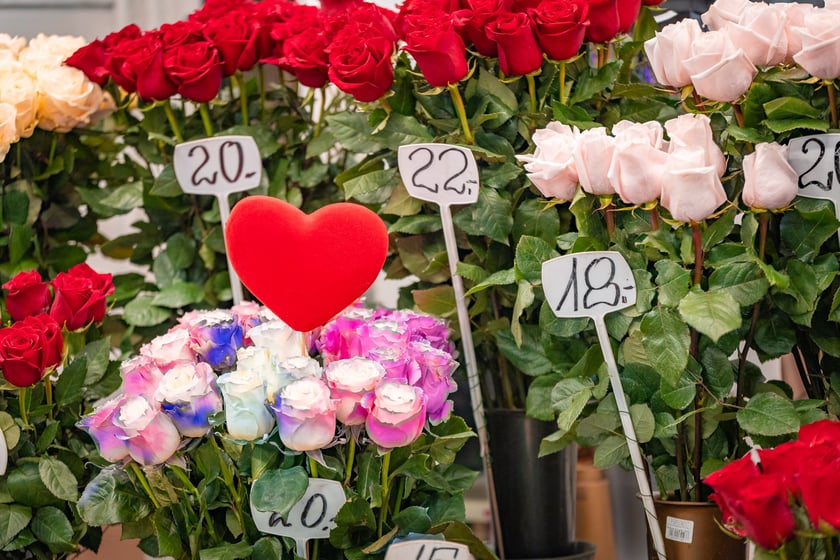 Hala Targowa i plac Solny gotowe na Walentynki - 12.02.2025 r.