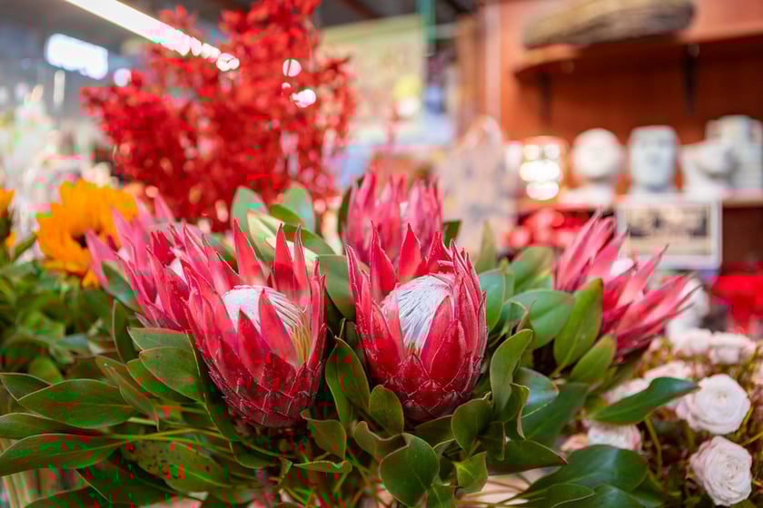 Hala Targowa i plac Solny gotowe na Walentynki - 12.02.2025 r.