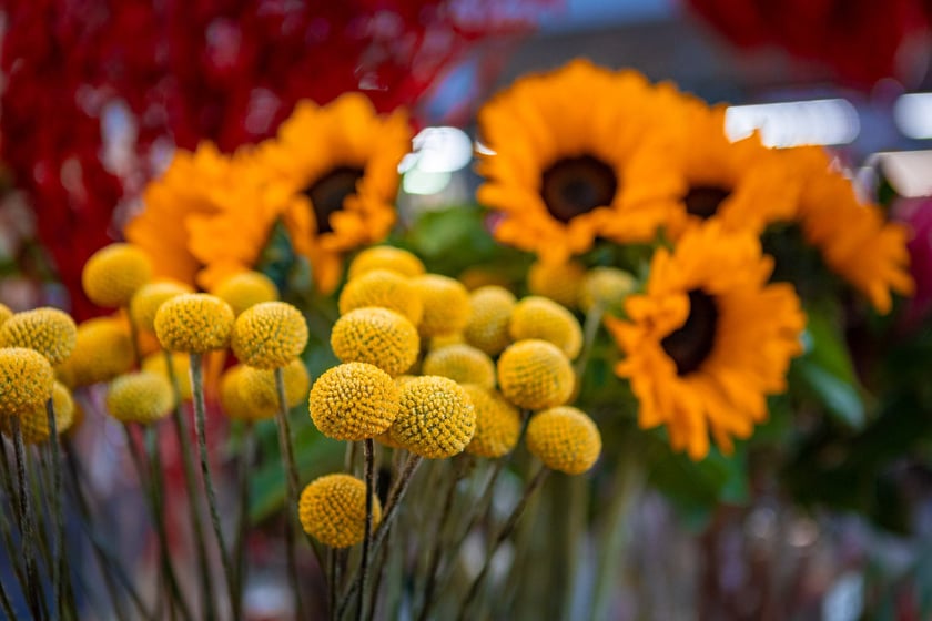 Hala Targowa i plac Solny gotowe na Walentynki - 12.02.2025 r.