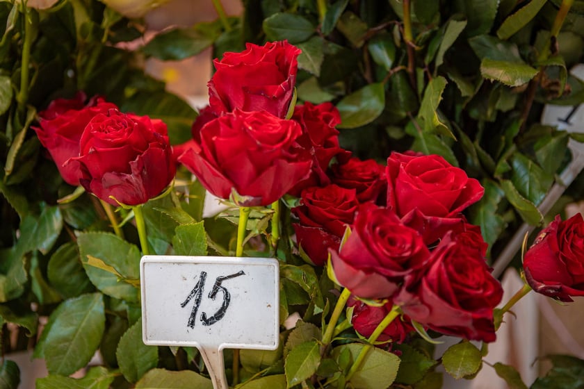 Hala Targowa i plac Solny gotowe na Walentynki - 12.02.2025 r.